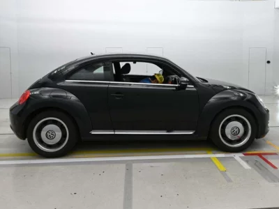 Volkswagen THE BEETLE