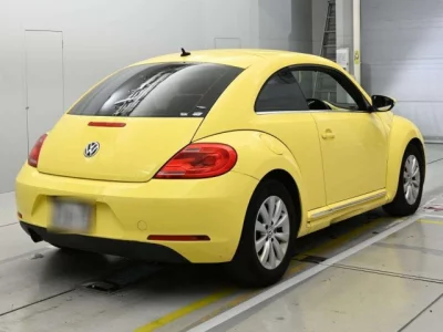 Volkswagen THE BEETLE