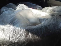 Audi A5 лот № 90659 оценка 3.5  с аукциона в Японии 10