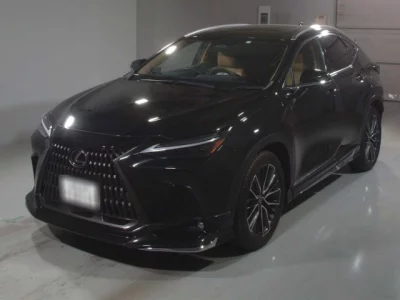 Lexus NX  с аукциона в Японии