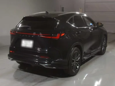 Lexus NX  с аукциона в Японии