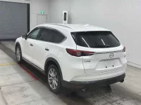 Mazda CX-8 лот № 30201 оценка 3.5  с аукциона в Японии 1
