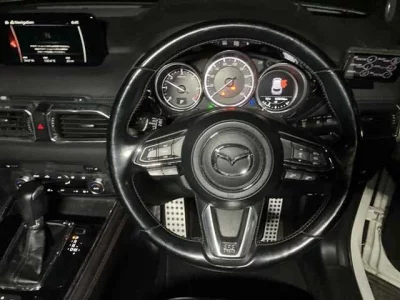 Mazda CX-8  с аукциона в Японии