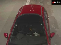 Citroen C3 лот № 163 оценка 4  с аукциона в Японии 8