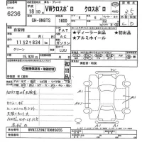 Volkswagen CROSS POLO лот № 6236 оценка 3.5  с аукциона в Японии 11