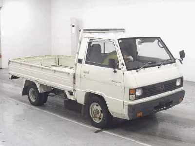Mitsubishi DELICA TRUCK