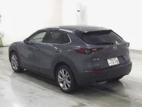 Mazda CX-30 лот № 3078 оценка 4.5  с аукциона в Японии 1