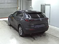 Mazda CX-30 лот № 4251 оценка 3.5  с аукциона в Японии 1