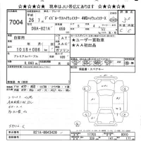 Nissan DAYZ ROOX лот № 7004 оценка 3.5  с аукциона в Японии 8