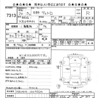Hino DUTRO лот № 7313 оценка R  с аукциона в Японии 9