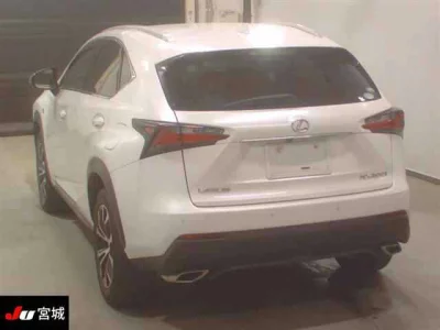 Lexus NX  с аукциона в Японии
