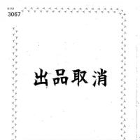 Peugeot 207 лот № 3067 оценка   с аукциона в Японии 9