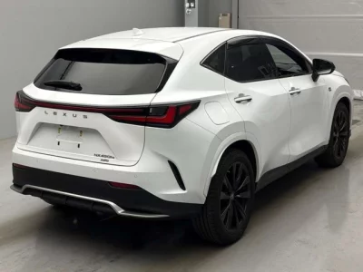 Lexus NX  с аукциона в Японии