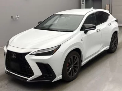 Lexus NX  с аукциона в Японии