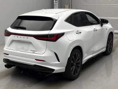 Lexus NX  с аукциона в Японии