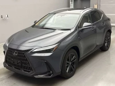 Lexus NX  с аукциона в Японии