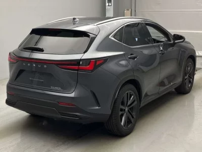 Lexus NX  с аукциона в Японии