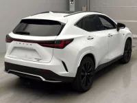 Lexus NX лот № 10051 оценка 3.5  с аукциона в Японии 1