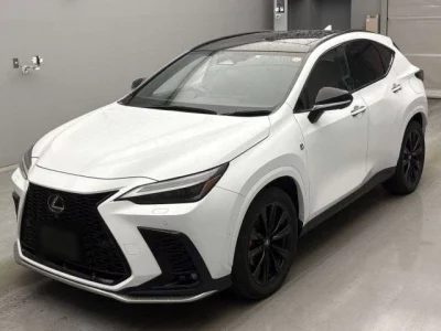 Lexus NX  с аукциона в Японии