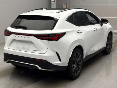 Lexus NX  с аукциона в Японии