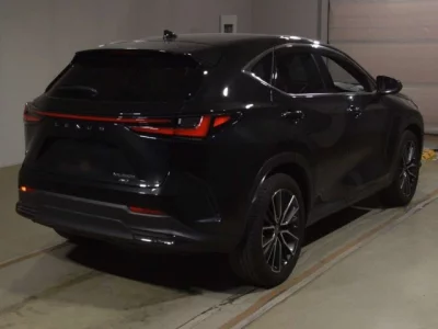 Lexus NX  с аукциона в Японии