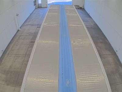 Hino PROFIA  с аукциона в Японии