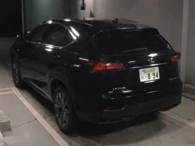 Lexus NX  с аукциона в Японии