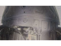 Nissan X-TRAIL лот № 30709 оценка 3.5  с аукциона в Японии 10