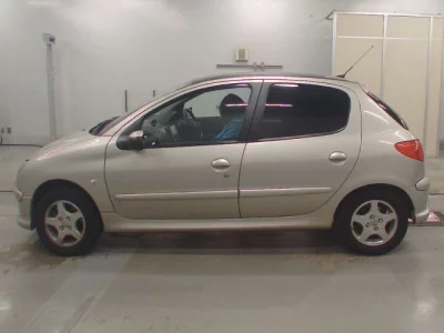 Peugeot 206  с аукциона в Японии