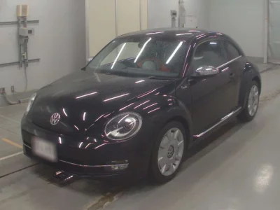Volkswagen THE BEETLE