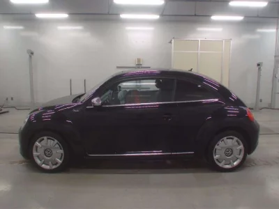 Volkswagen THE BEETLE