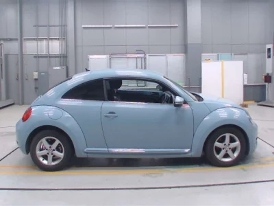 Volkswagen THE BEETLE