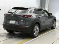 Mazda CX-30 лот № 30873 оценка 4.5  с аукциона в Японии 1
