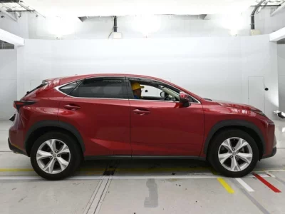Lexus NX300
