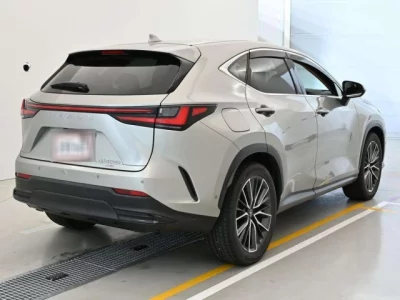 Lexus NX450h+