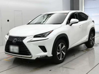 Lexus NX300h