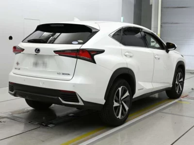 Lexus NX300h