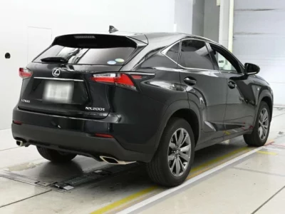 Lexus NX300