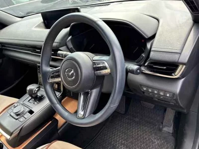 Mazda MX-30