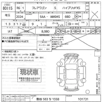 Mazda FLAIR WAGON лот № 80115 оценка X  с аукциона в Японии 10