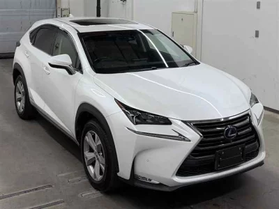 Lexus NX300h