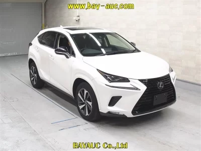 Lexus NX300