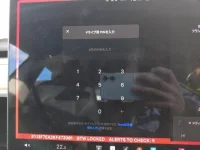 Tesla MODEL3 лот № 170 оценка   с аукциона в Японии 10