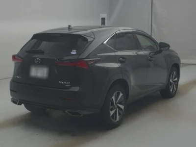 Lexus NX300