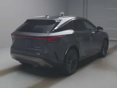 Lexus RX  с аукциона в Японии