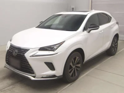 Lexus NX300