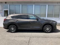 Mazda CX-8 лот № 214 оценка 3.5  с аукциона в Японии 2