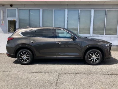 Mazda CX-8  с аукциона в Японии