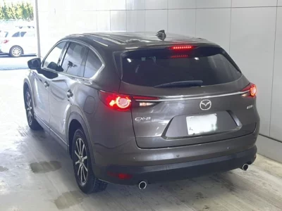 Mazda CX-8  с аукциона в Японии