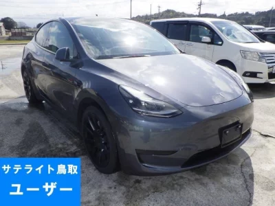 Tesla MODELY  с аукциона в Японии